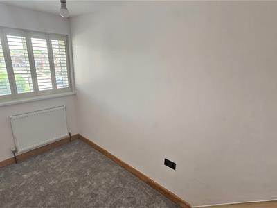 Picture 24